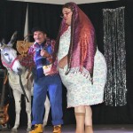 Cabaryves2016-Fabras (2)