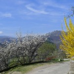 Champeaux-au printemps