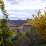 Chareyre 03.2008 .16