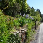 Combe-Chaude (2)