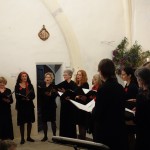 Concert-Bouches-Rouges-Fabras (4)