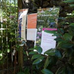 Estivales-Fabras-2018 (2)