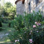Estivales-Fabras-2018 (9)