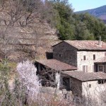 LaBertrande