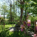 PontdelaVigne (5)