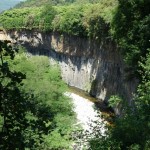 Rejus (3)