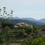 Village2