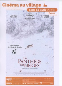 Panthère des neiges.