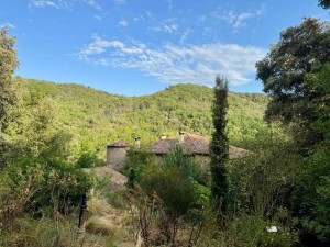 Le château du Pin dans son écrin de verdure FABRAS.