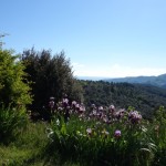 Le Bosc – Larmande – Le Soulier – Aizac – Plantemel